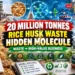 Rice husk based manufacturing business in India producing precipitated silica and high-value industrial products