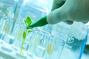 bio-tech-1-1140x641