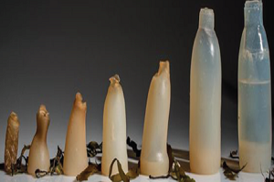 Biodegradable Plastic from Agricultural Wastes