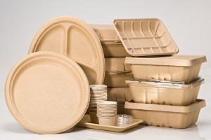 Biodegradable Product
