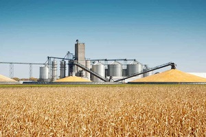 Ethanol Industry
