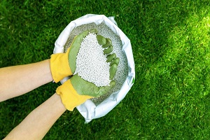 Fertilizers