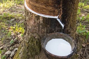 Rubber Processing