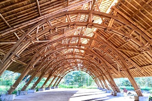 bamboo_1