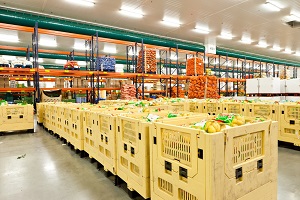 coldstorage