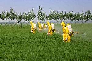 pesticides