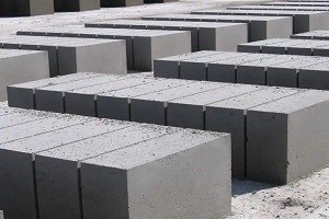 Bricks from Fly Ash
