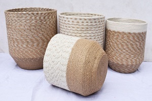 Jute