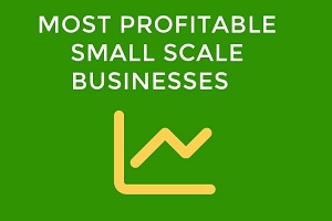 Small Scale Manufacturing Business Ideas