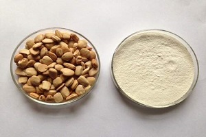 Tamarind Kernel Powder (TKP)