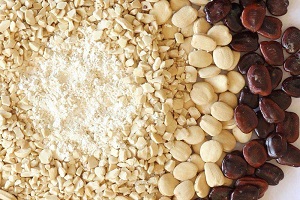 Tamarind Seed Kernel Powder