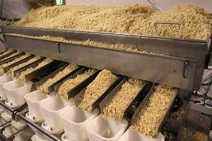 rice processing