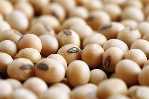 soya