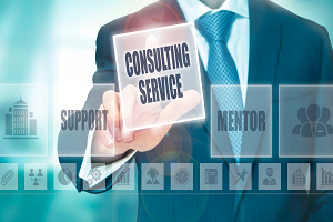 Business Consulting Services