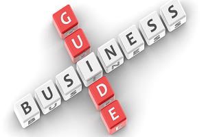 Business Guide