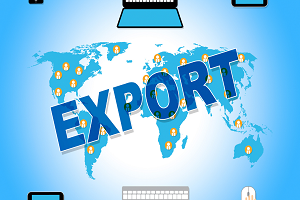 Export Oriented Units 5