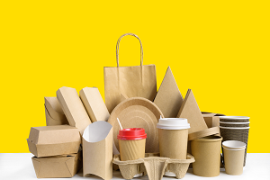 Food Packaging 1