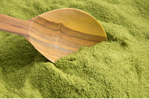Moringa Processing.1
