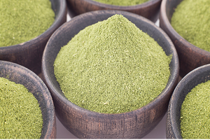 Moringa Processing.3