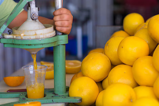 cropped hand holding orange fruit 1048944 1269078 1
