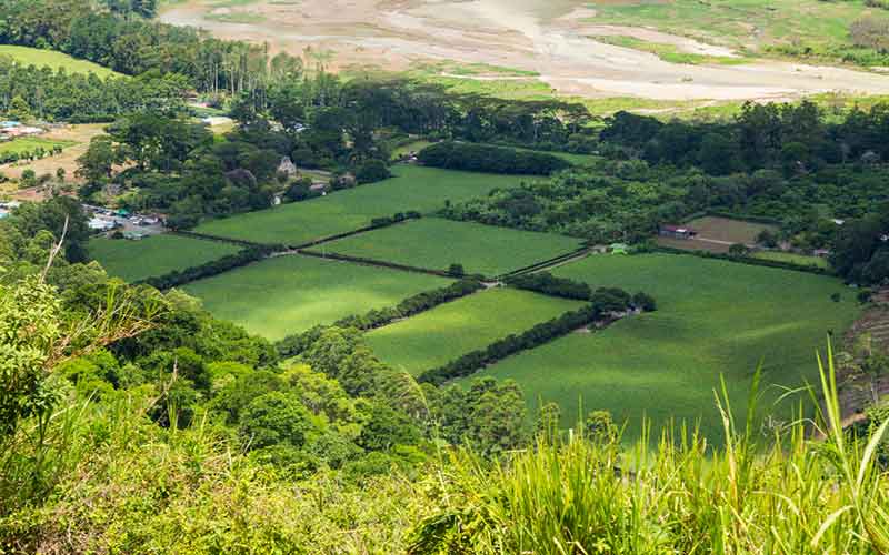 Affordable-Land-and-Industrial-Clusters-in-Madhya-pradesh