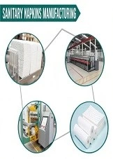 Sanitary Napkins Manufacturing: A Lucrative Business Opportunity for Modern Entrepreneurs