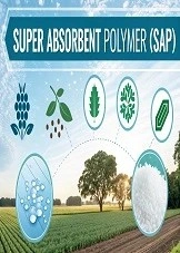 Super Absorbent Polymer (SAP): A Lucrative Opportunity for Forward-Thinking Entrepreneurs