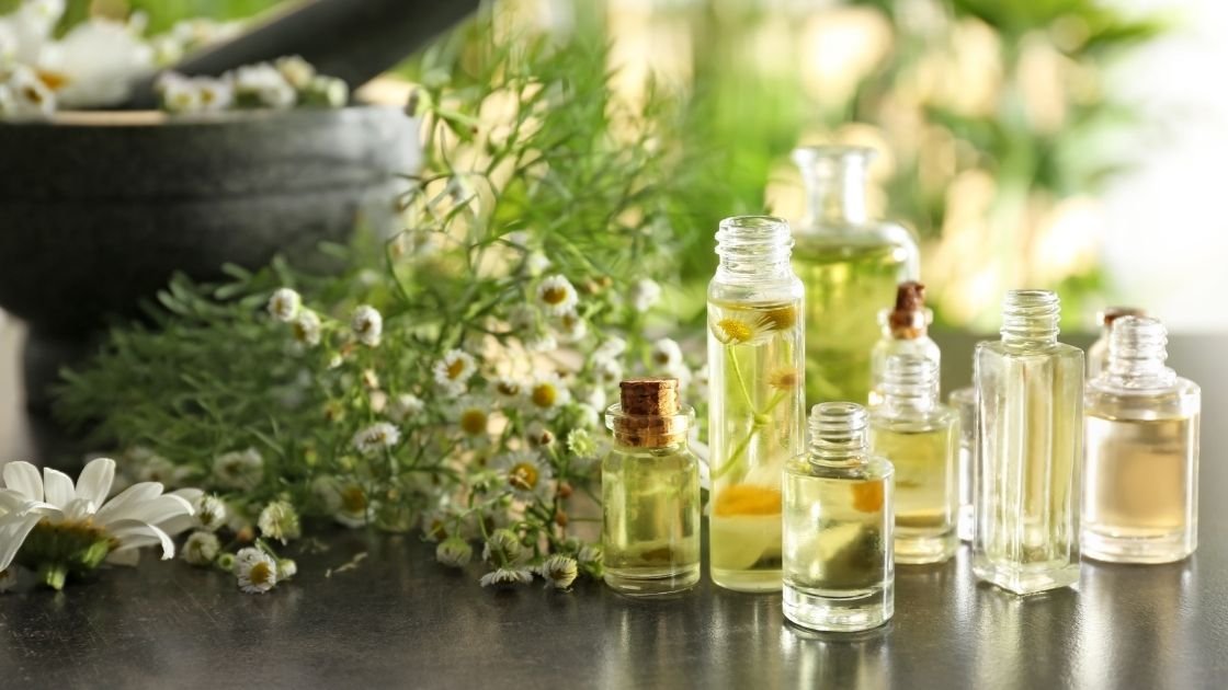 Herbs and Herbal Based Products, Ayurvedic Medicines, Cosmetics, Herbs, Medicinal Plants Cultivation, Processing, Herbal Extract, Natural Plant Extracts, Ayurvedic Pharma, Ayurvedic Products, Herbal Medicine, Herbal Cosmetics, Ayurvedic Formulations