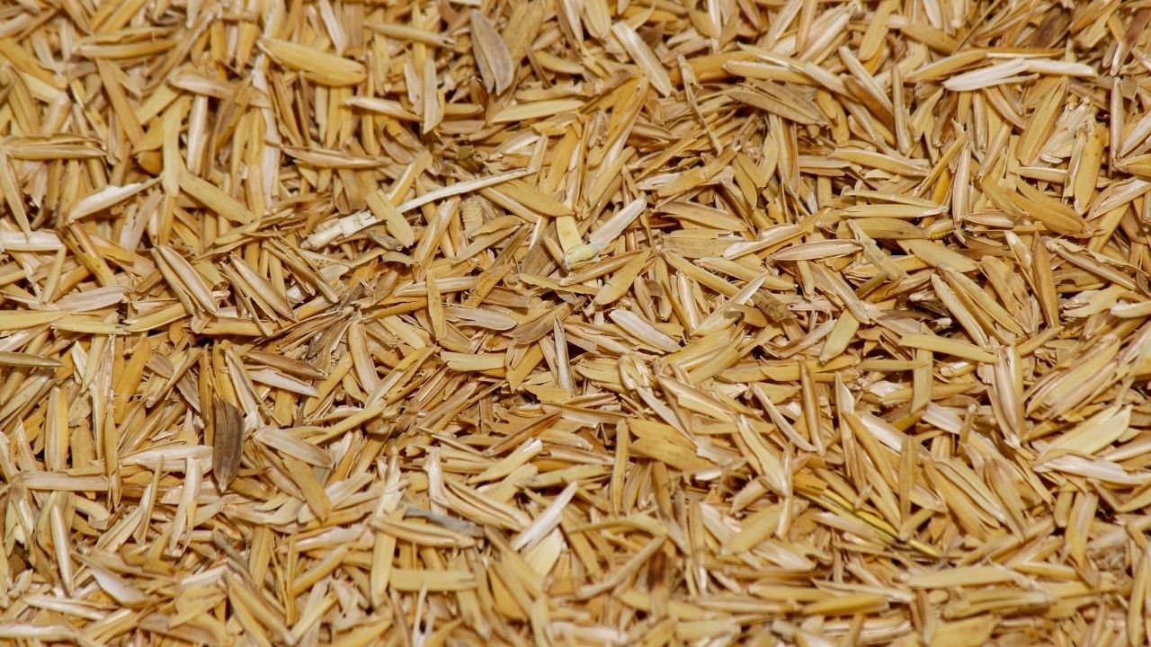 Rice Husk, Rice Hull, Rice Husk Ash (Agricultural Waste) based Projects, (Precipitated Silica, Activated Carbon, Cement, Electricity, Ethanol, Hardboard, Oxalic Acid, Paper, Particle Board, Rice Husk Briquettes, Rice Husk Pellet, Silicon, Sodium Silicate)