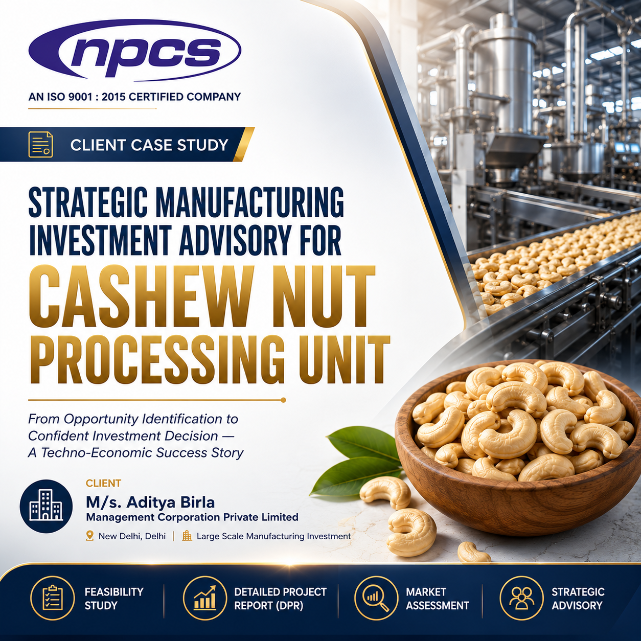 Strategic Investment Advisory for a Cashew Nut Processing Unit