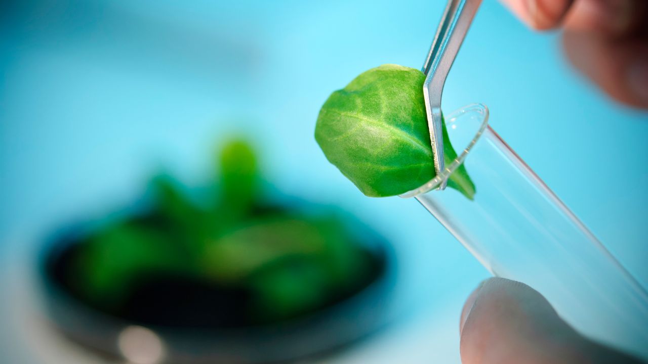 Biotechnology, Nanoscience, Nanotechnology, Enzymes, Food Biotechnology ,Vermiculture , Vermicompost , Bio-Fertilizer, Organic Farming, Biogas