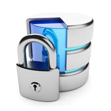 Directory, Database India Individuals Company Executives, IT Professionals, All India Doctors, HNIs - High Net worth Individuals