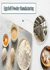 Eggshell Powder Manufacturing: A Golden Opportunity for Forward-Thinking Entrepreneurs