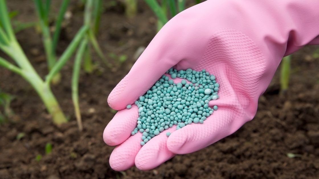 Fertilizers, Fertilisers, Inorganic Fertilizers (Mineral Fertilizer), Macronutrients and Micronutrients, NPK, SSP, Single Super Phosphate, Urea, Nitrogen Fertilizer,Nitrogenous Fertilizer, Diammonium Phosphate Projects
